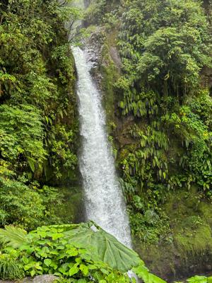 San Jose Costa Rica - Cinchona Waterfall